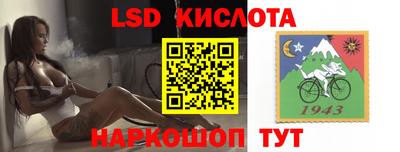 spice Волгодонск