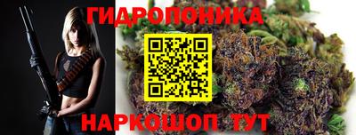 spice Волгодонск