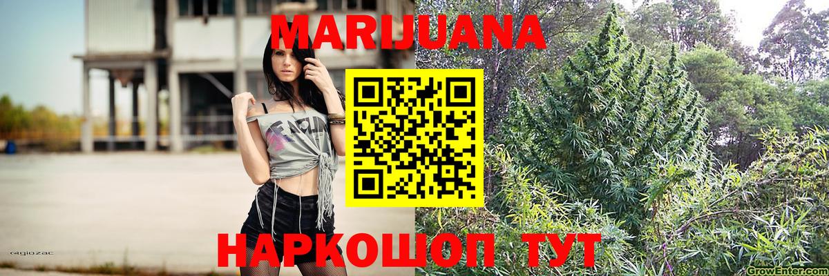 Нерюнгри  Каннабис тримм  Марихуана план  Вход с VPN  МАРИХУАНА OG Kush  Бошки марихуана ГИДРОПОН 